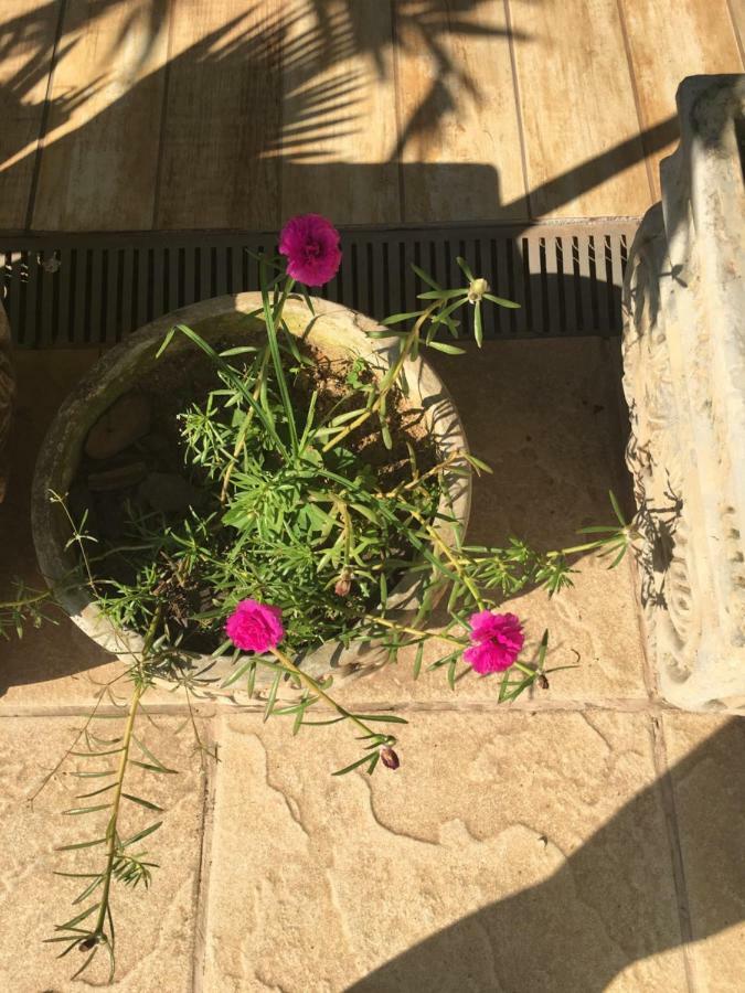 Pousada Florestinha Tamoios ภายนอก รูปภาพ